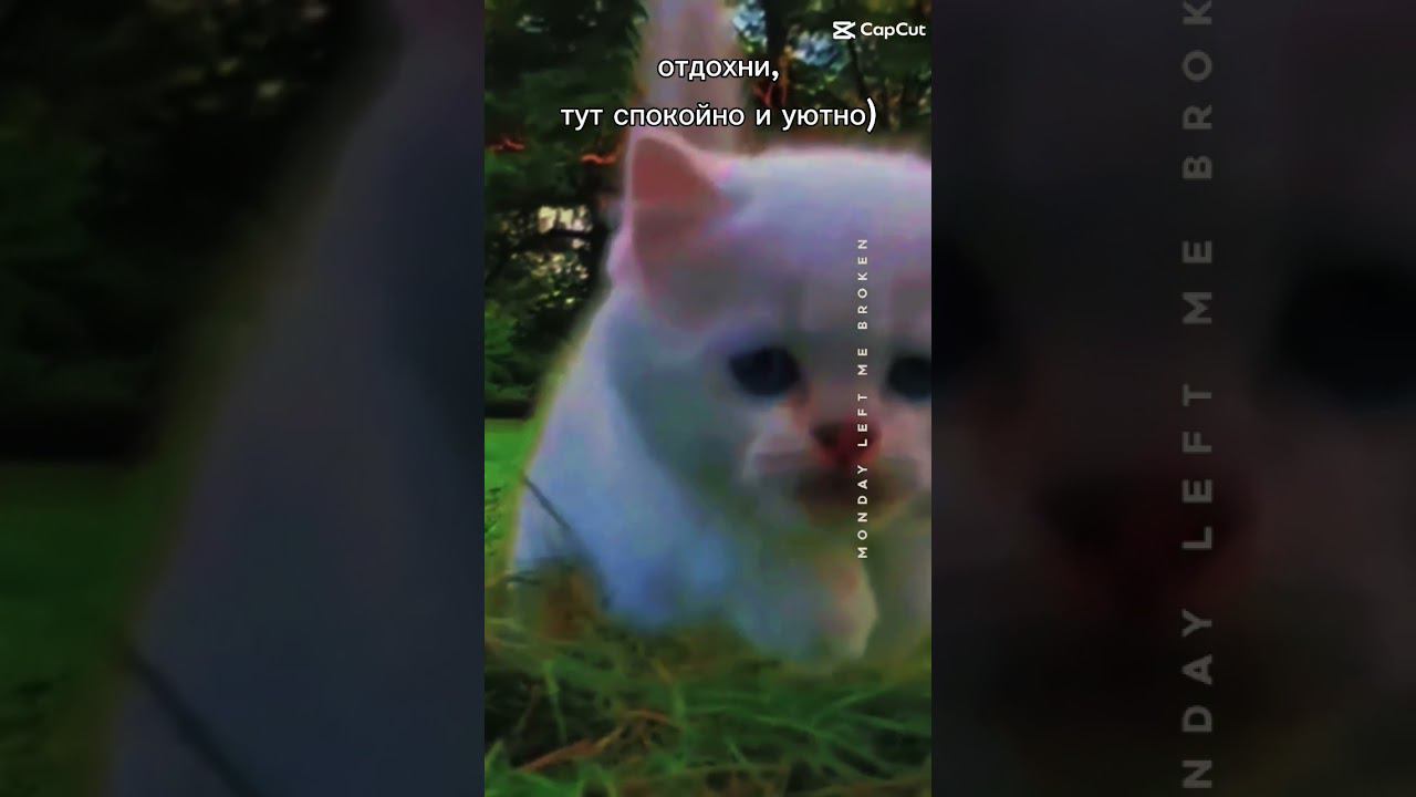 отдохни,тут спокойно и уютно)#рекомендации смотреть онлайн