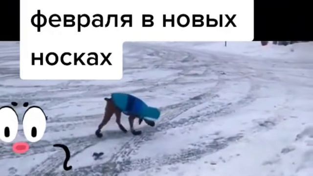 Подарила носки на 23 февраля смотреть онлайн