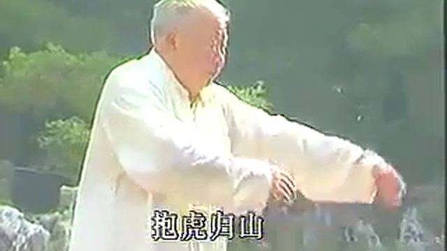 Фу Чжунвень 1903 1994 ученик и родственник Ян Ченфу смотреть онлайн