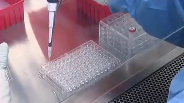 10-Restriction Enzyme Based Cloning Method смотреть онлайн