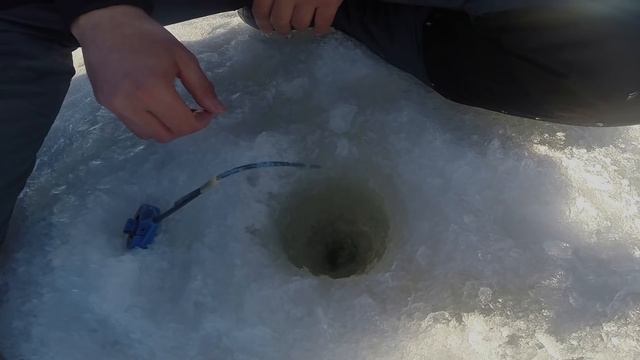 ВЕСЕННЯЯ ПЛОТВА ГОРЬКОВСКОГО МОРЯ. РЫБАЛКА В КАЙФ!!! смотреть онлайн