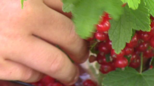 Кто не уважает старшего, тому неведомо уважение. смотреть онлайн