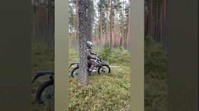 эндуро pr300 wels смотреть онлайн