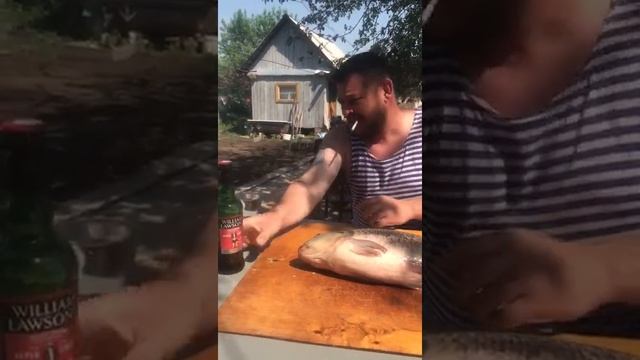 Как правильно готовить карпа смотреть онлайн