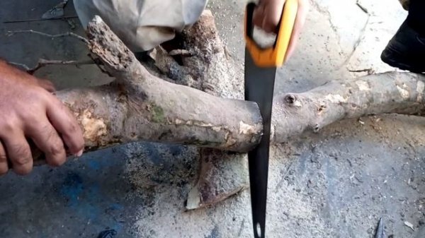 Wood cutting hand saw with ingco tools/ woodworking