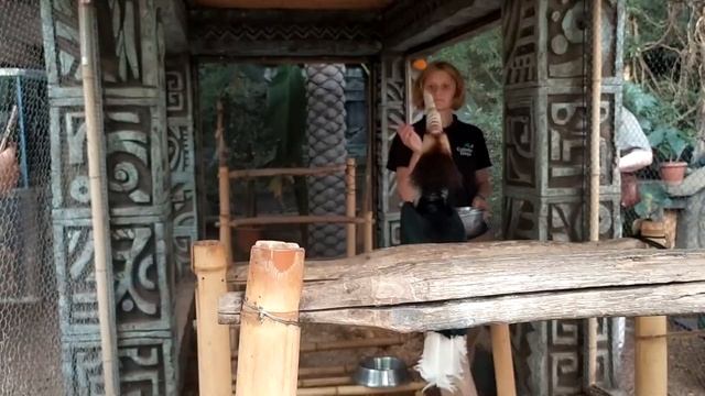 САФАРИ-ПАРК В КРАСНОДАРЕ/ КРАСНОДАРСКИЙ ЗООПАРК/ ЗООПАРК В ГОРОДЕ смотреть онлайн