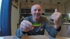 Самый веселый воблер. Обзор воблера German Artful Crucian 90.