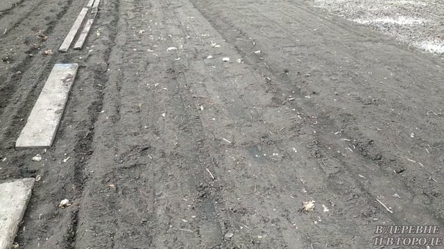 Посеяла редис. Зеленушку: салат, руколу, кИнзу, петрушку. Агро-фитнес начался. Живём на даче. смотреть онлайн