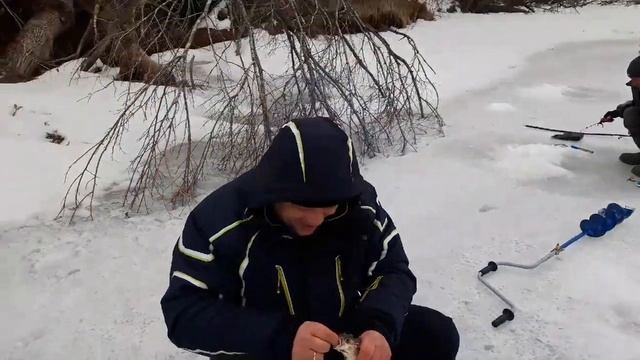 Ленки атакуют!!! Зачётный хариус из лунки!!! Ловят все родственники!!!!! смотреть онлайн