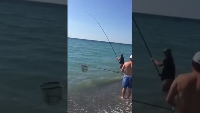 Ловля кефали ( лобаня) с берега на черном море смотреть онлайн