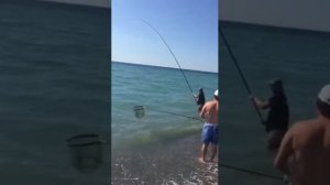 Ловля кефали ( лобаня) с берега на черном море