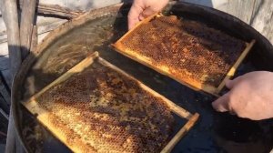 Чистим соты от засахаренного мёда