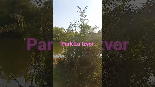 Park La Izvor смотреть онлайн