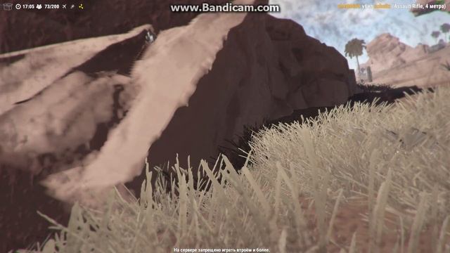 Как багоюзить на Magic Rust