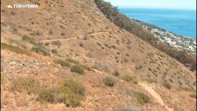 SILVERBACK Superspeed смотреть онлайн