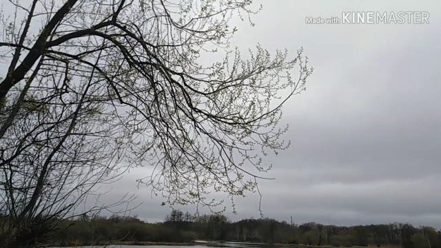 Женская ВЕСНА смотреть онлайн