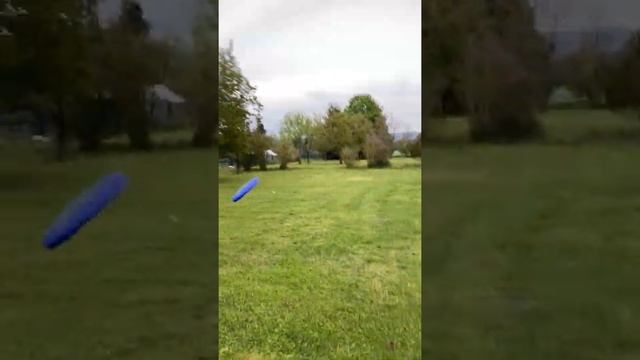 Go...FETCH! смотреть онлайн