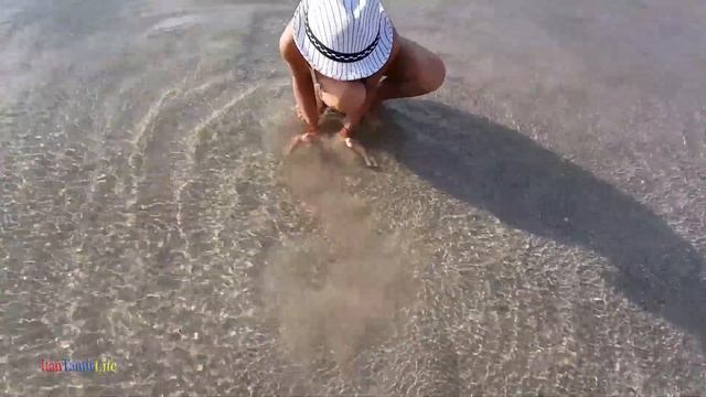 Children catch crabs in the Mediterranean Sea ? part 2 смотреть онлайн