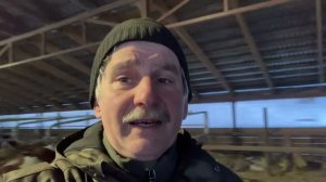 Про кастрацию бычков