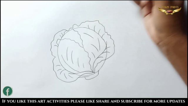 How to draw CABBAGE | Cabbage Drawing | fam pro смотреть онлайн