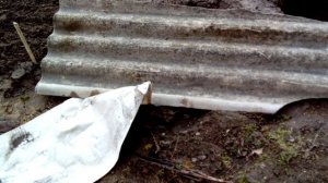 Когда открывать виноград весной? Обработка лоз после открытия.