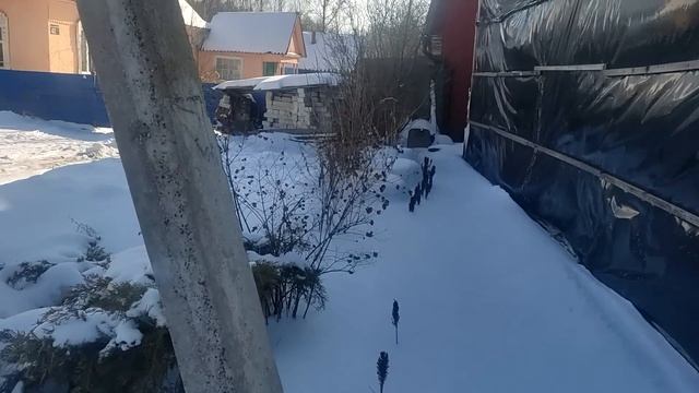 Вкусно, быстро и без выпечки. Съездили в больницу. Все люди мои дети. Жизнь простых людей в деревне смотреть онлайн