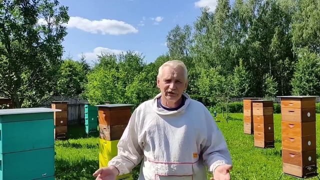 Пасека. 4 июля 2023 года. Карника, или все же местная... смотреть онлайн