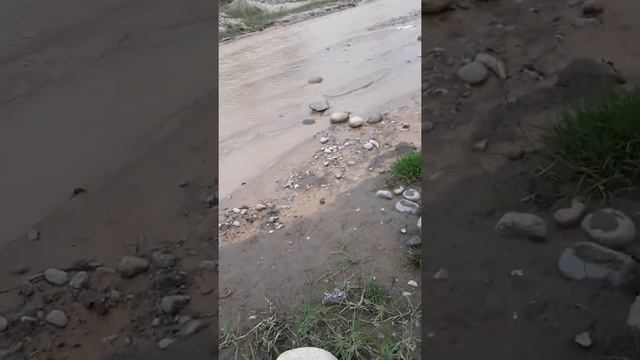 Алматы, собираем золото которого нет ! смотреть онлайн