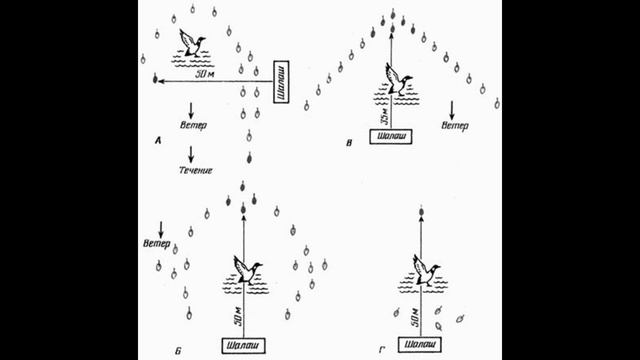 ? ?ПРАВИЛЬНАЯ РАССТАНОВКА ЧУЧЕЛ УТОК КРЯКВЫ. смотреть онлайн