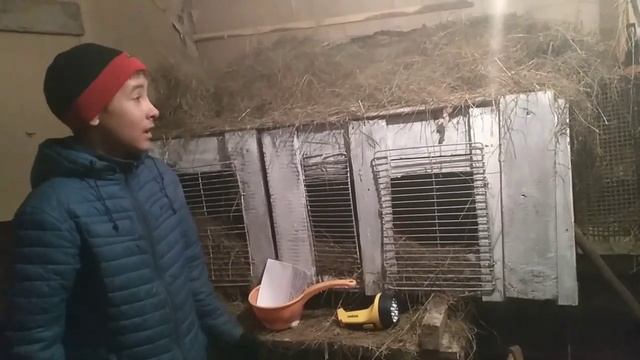 ПОЧЕМУ НЕ СТОИТ ДЕРЖАТЬ КРОЛИКОВ ЗИМОЙ!!! КАКИЕ ПРОБЛЕМЫ БЫВАЮТ! смотреть онлайн