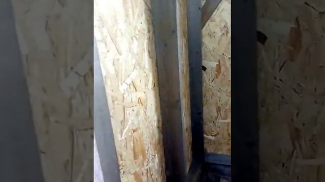 Свиньи с нуля, каркасный свинарник для вьетнамских свиней смотреть онлайн