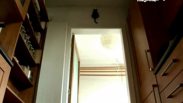 Кошки Кло-Хилл / Cats of Claw Hill. 8 серия - Собачьи дела (2009)