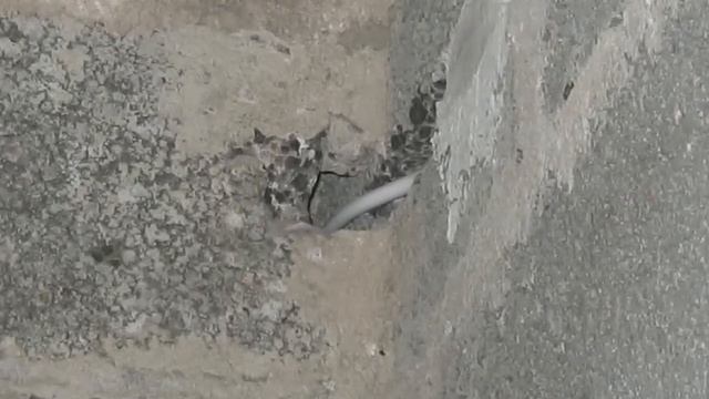 Электрикам. Этот клип о том как делать НЕЛЬЗЯ! смотреть онлайн