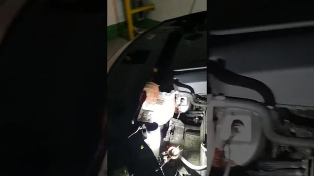 LED H15 смотреть онлайн