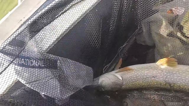 Лучшие рыбалочки 2022. По просьбе подписчиков. Павлодар. смотреть онлайн