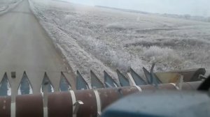 уборка семечек в снег