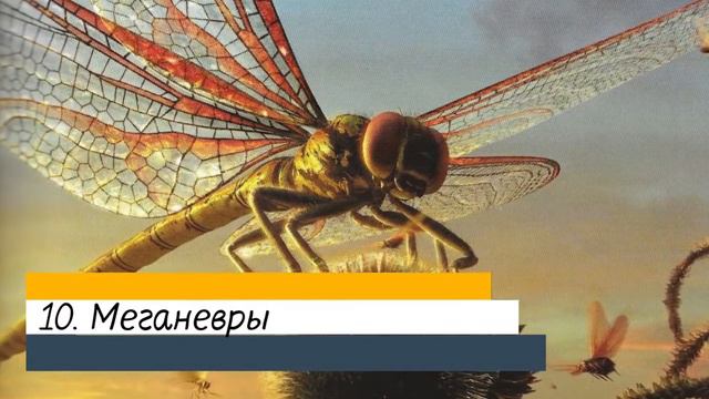 ТОП 19 САМЫХ УЖАСНЫХ ЖИВОТНЫХ! смотреть онлайн