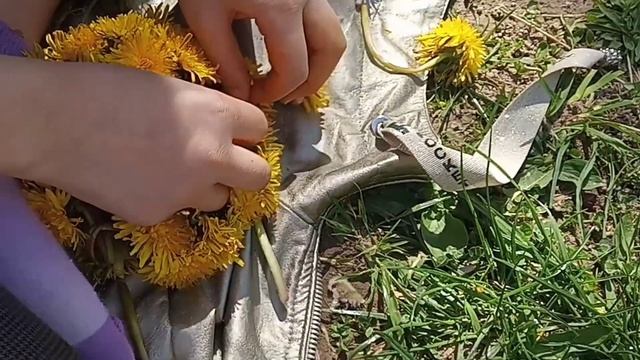 Как сплести венок из одуванчиков ? смотреть онлайн