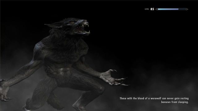 Tomin pelinurkka: The Elder Scrolls V: Skyrim osa560:Seikkailua osa 220 смотреть онлайн