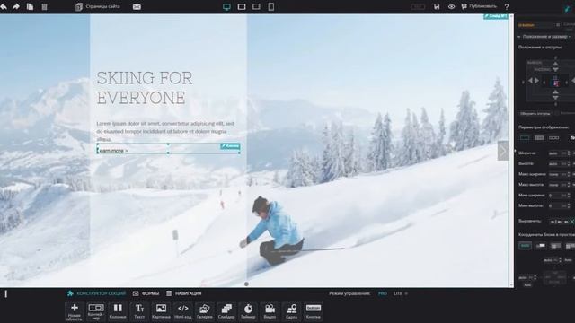 Мастерство и Стремление