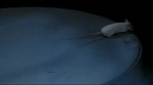 Columbia Pictures (The Mouse That Roared) (1959) #2