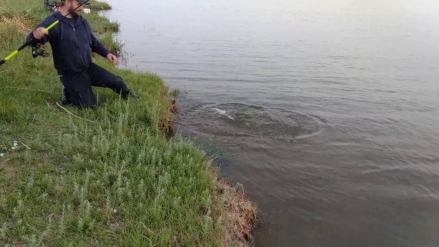 ЩУКА! Канал им. Сатпаева смотреть онлайн