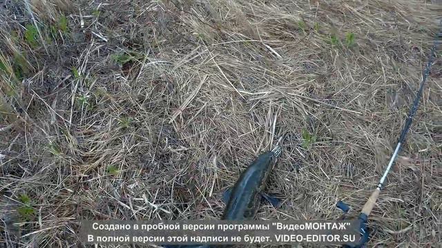 Небольшая подборка ловли ЗМЕЕГОЛОВА! смотреть онлайн