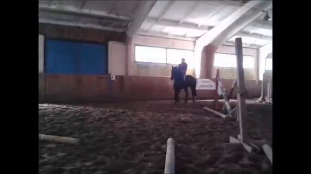 Езда без седла смотреть онлайн