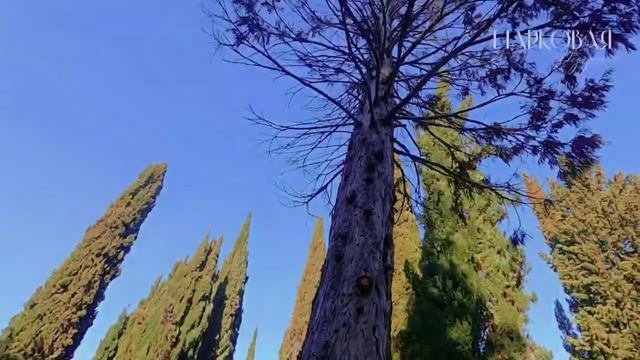 Дендропарк в окружении жилых кварталов "Парковая резиденция" | Крым, Алушта смотреть онлайн