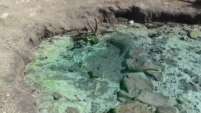 Доминикана. Горячий сероводородный источник. смотреть онлайн