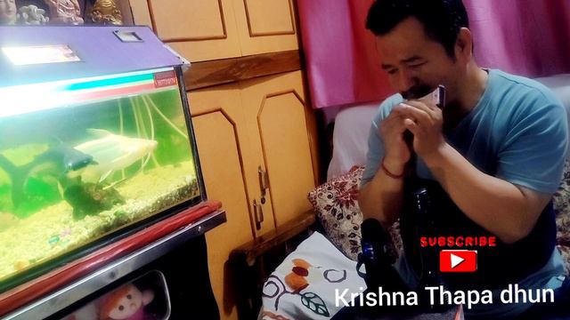 Nepali best song 🎵🎶 my harmonica/mouth organ song उडायो सपना सबै हुरिले..... смотреть онлайн