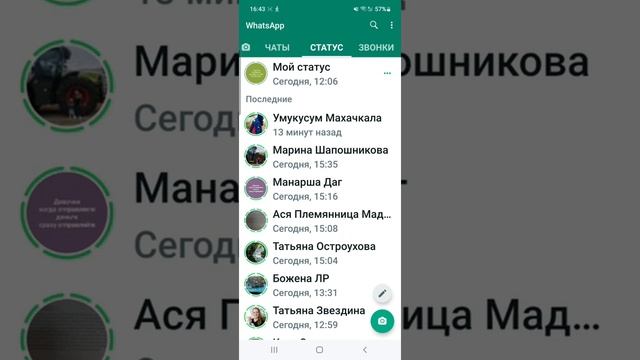 Статусы в WhatsApp. Как посмотреть статус в мессенджере WhatsApp (Вотсап) смотреть онлайн