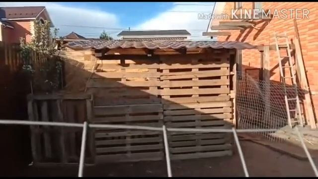 Построили домик павлину. смотреть онлайн