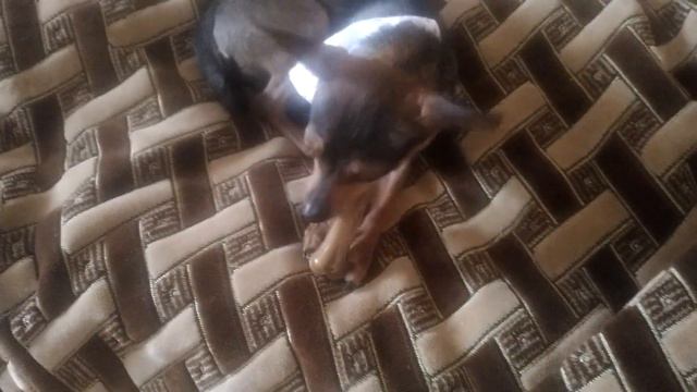 Первое видео в 2019 году. Показываем подарки😍 смотреть онлайн